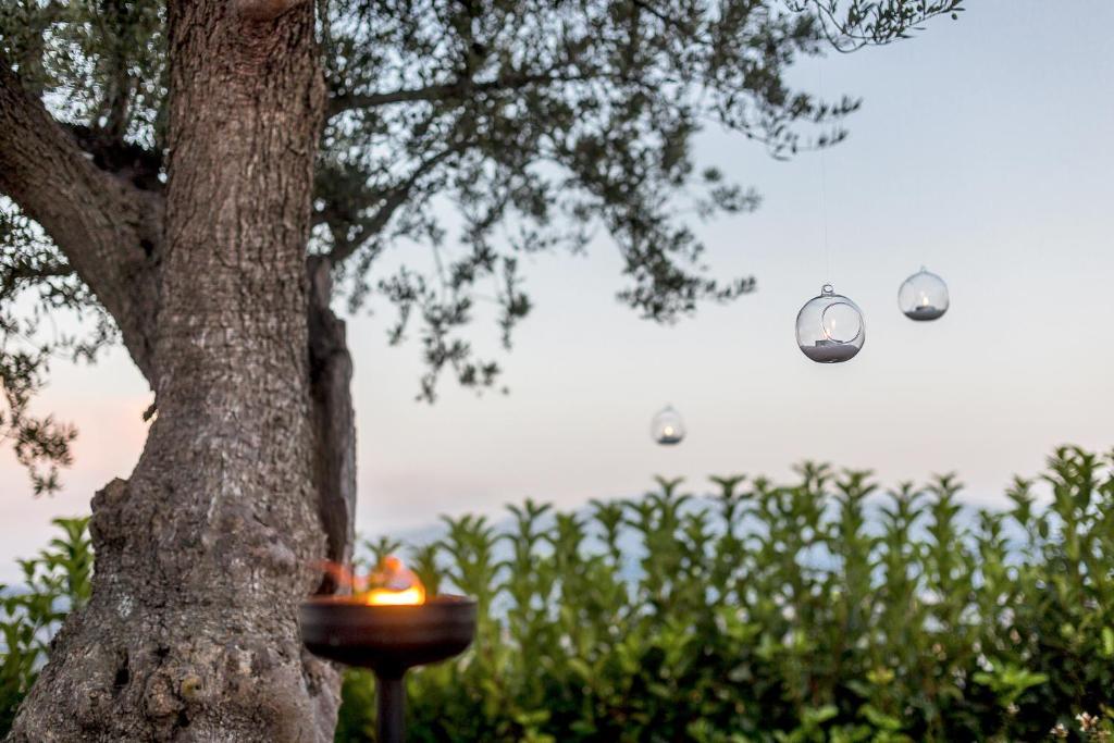 Casale Santa Maria Country House Mosciano SantʼAngelo Екстериор снимка